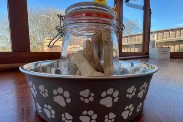 Dogs welcome